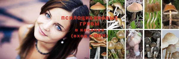альфа пвп Балабаново