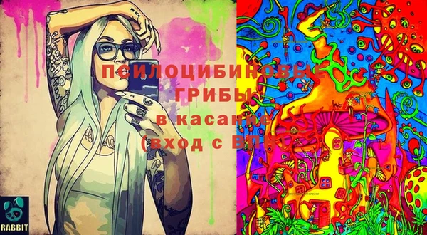 а пвп мука Баксан