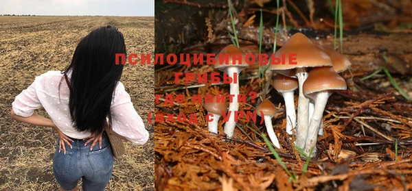а пвп мука Баксан