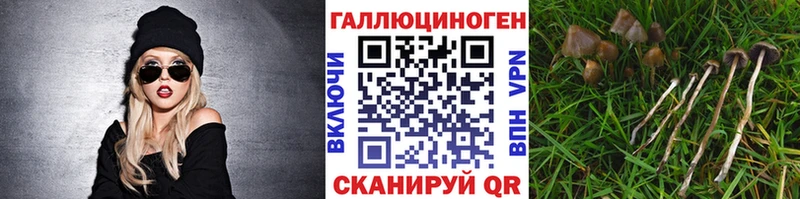 сколько стоит  omg маркетплейс  Галлюциногенные грибы мицелий  Нерюнгри 